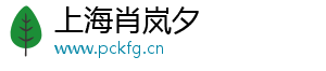 上海肖岚夕